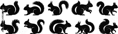 Black squirrel silhouette set, animal pose collection, wildlife vector illustration, forest rodent shapes, isolated design elements on white background