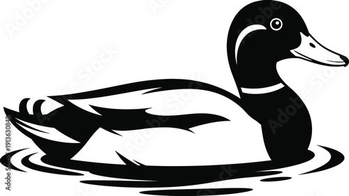 Black and White Illustration of a Mallard Duck Swimming in Water Keywords: duck, mallard, bird, waterfowl, animal, wildlife