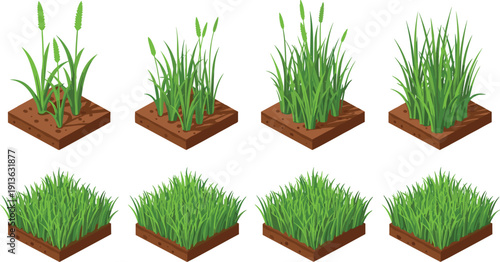 Isometric grass and soil terrain tiles set with different meadow patches and wild plants, perfect for game maps, farming simulation, and level design assets.