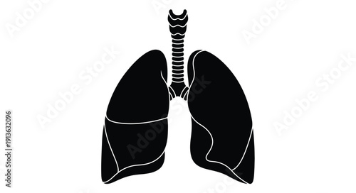 Anatomical illustration of human lungs in black silhouette