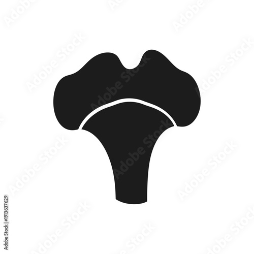 Fetal ultrasound image depicting a developing baby inside the womb