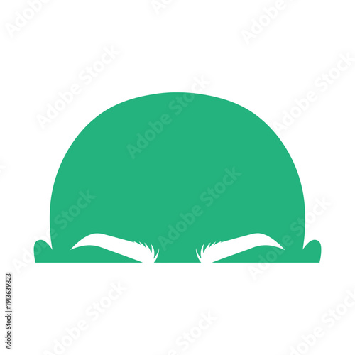 Green turtle head peering from shell with white markings above