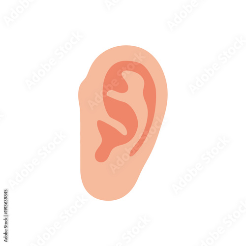 Illustration of a human ear against a plain white background