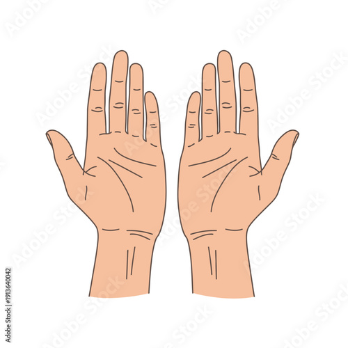 Illustration of two open human hands palms facing upwards