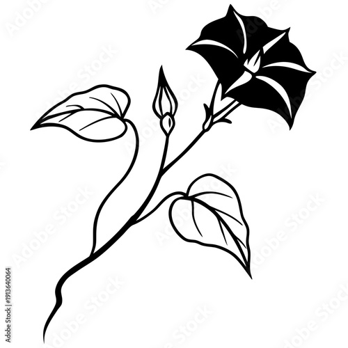 Cardinal Climber vine showcasing bright red trumpet-shaped flowers and lush green leaves, vector design.