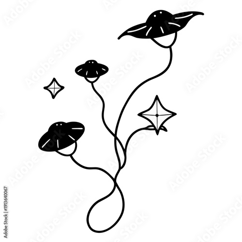Cosmic Flying Saucers morning glory vine with unique bi-colored petals, vector illustration.