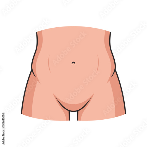 Illustration of a female torso focusing on the abdominal and pelvic region