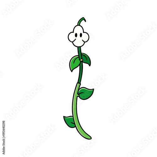 Everlasting Pea Vine (Lathyrus Latifolius) Botanical Vector Illustration, Pink Flowers