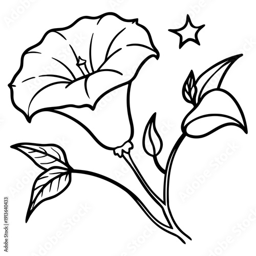 Elegant Moonflower Ipomoea Alba Blooming at Night, Delicate White Petals Unfurling