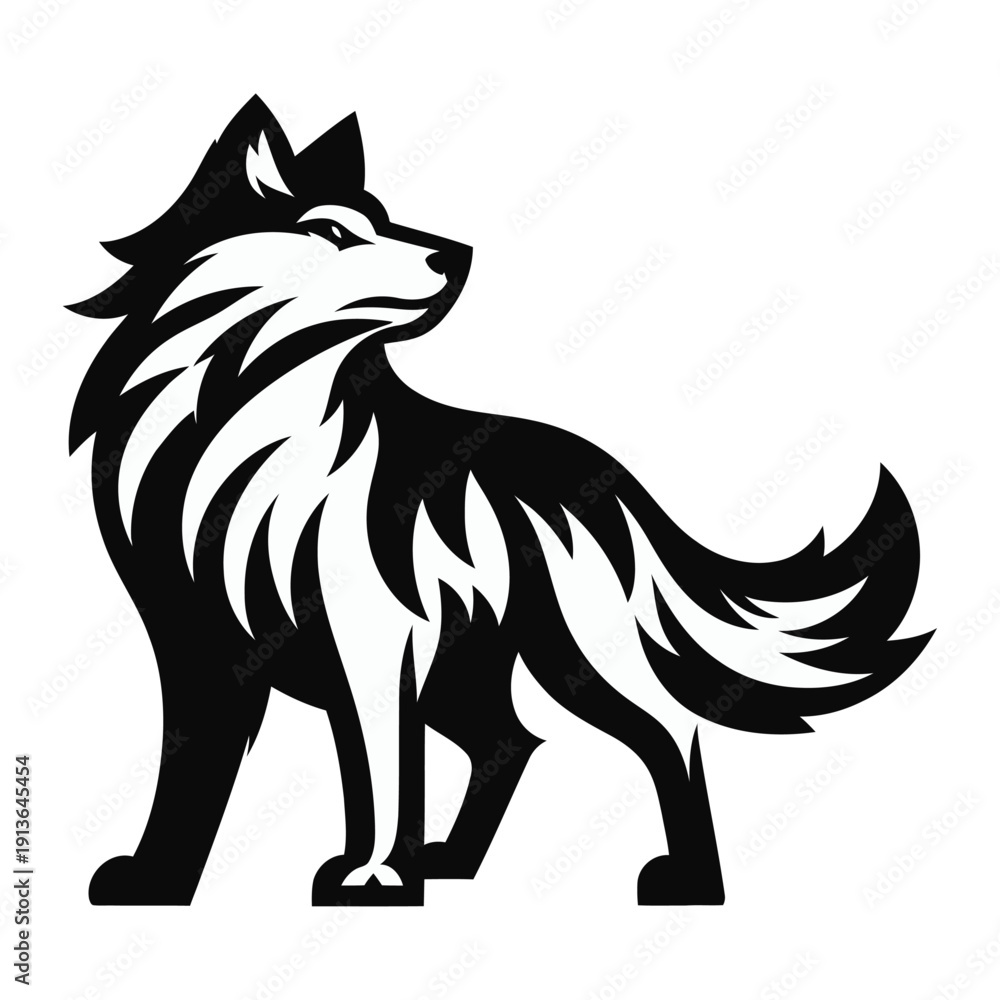 Obraz premium Wolf vector and illustration.