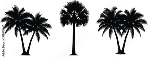 Set of tropical palm tree silhouettes isolated on white background, black vector illustration of coconut palms for summer beach design and nature decor