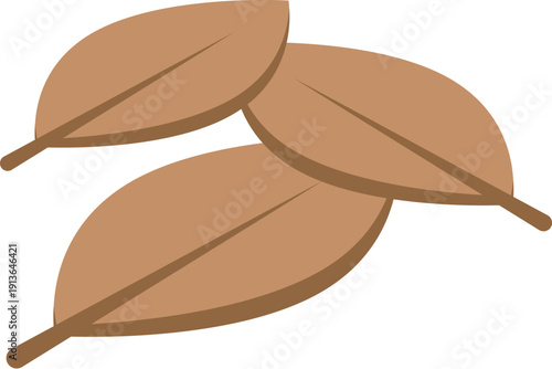 Three brown bay leaves falling against a white background, creating a simple yet elegant composition
