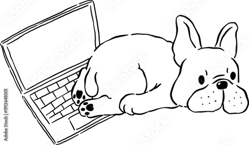 Sploot french bulldog WFH Outline on laptop hand drawn frenchie derp dog 