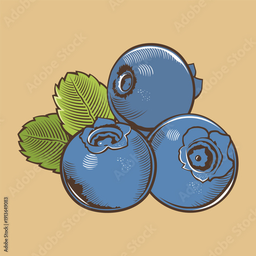 Three ripe blueberries with green leaves isolated on a plain background, vector illustration