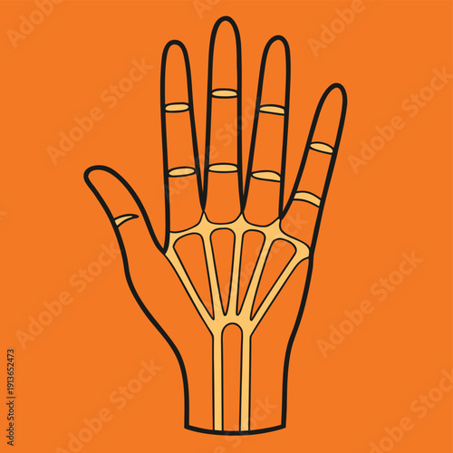 Human hand skeletal structure bones palm and fingers flat vector illustration on orange background