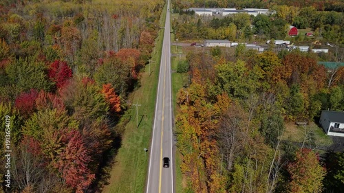 Aerial view of a long straight road cutting through colorful autumn forest, car driving along rural American landscape, drone perspective