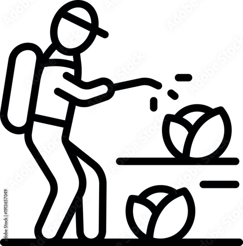 Farmer spraying insecticide on cabbage crops for pest control and healthy growth