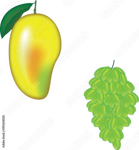 Fresh mango and green grapes illustration isolated on white background