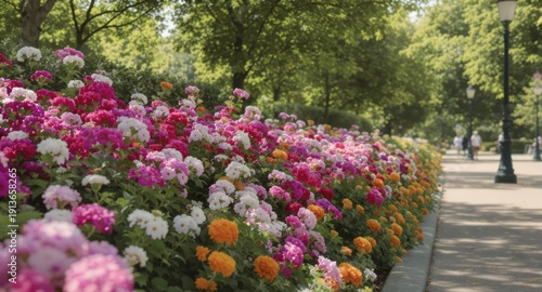 A vibrant flower bed bursts with colorful blooms lining a path in a sunny park