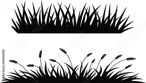 Grass silhouette vector illustration, tall blades and natural curved stalks with seed heads, decorative design for nature, landscape, botanical, outdoor themes