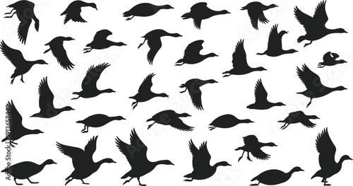 Flying geese silhouettes vector illustration, multiple bird poses in flight, wing positions, nature design for wildlife, migration, forest, outdoor, avian themes