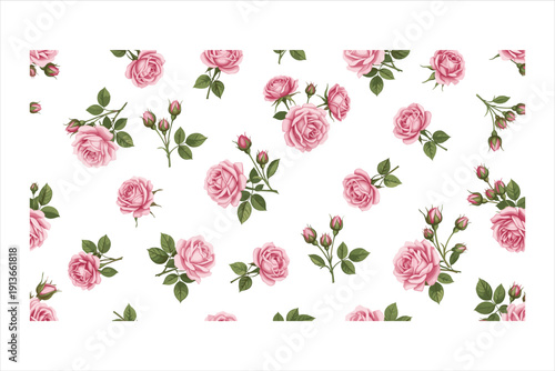 set of pink rose watercolor flowers