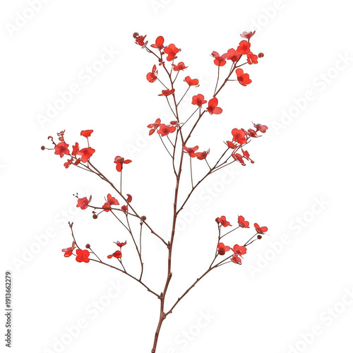 Delicate Red Floral Branch isolated on a transparent background