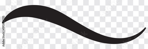 Swash swoop and swish calligraphy sign. Underlines hand drawn stroke