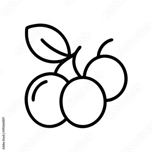 Fresh plums with leaves in simple line art style  