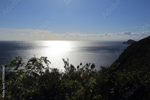Wallpaper Mural 愛媛県　高茂岬へ続く道から見た風景 Torontodigital.ca