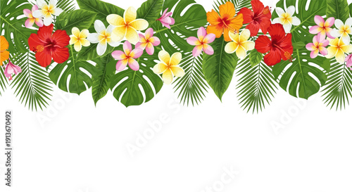Tropical border of bright hibiscus plumeria flowers and green monsterapalm leaves