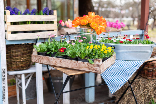 Wallpaper Mural Seedling houseplants. Table on terrace with flowers bouquet for sale at a floral shop outdoors. Gardening hobby at home concept. Showcase street market with spring flowers and bloom plants in pots. Torontodigital.ca