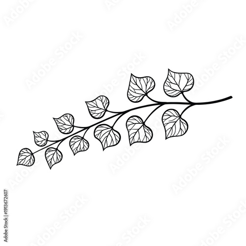Simple black and white illustration of a branch with leaves on a transparent background, ideal for graphic design and digital art projects requiring a minimalist botanical element.