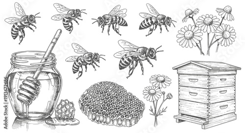 Detailed illustration of bees honey honeycomb beehive and flowers