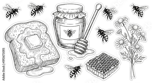Honey and bees food illustration with toast chamomile and honeycomb elements