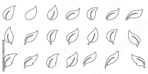 Leaf line icons. Vector illustration include icon - botany, herbal, ecology, bio, organic, vegetarian, eco, fresh, nature outline pictogram for flora