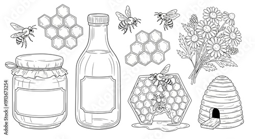 Honey and bees vector illustration of natural products and elements