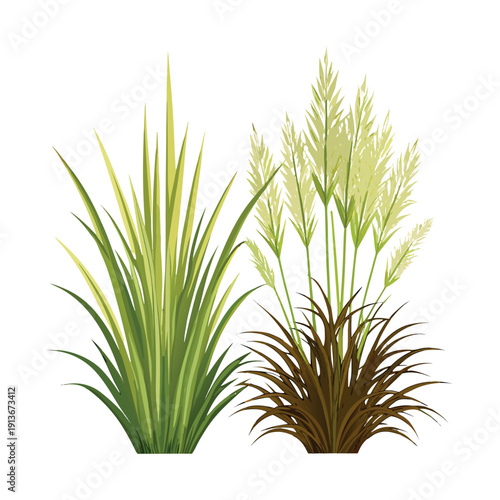 wheat and wild grass plants, green and golden leaves