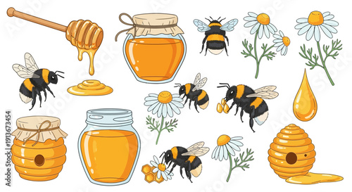 Honey bee illustrations with jars of honey flowers and a honeycomb vector design