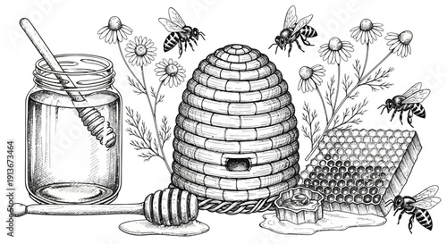 Honey bee illustration with jar honey comb beehive and daisy flowers