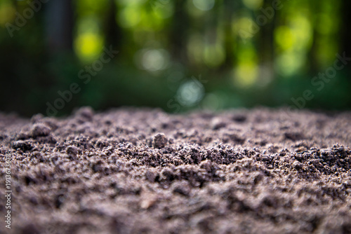 Tableau sur toile Soil texture with green nature bokeh background