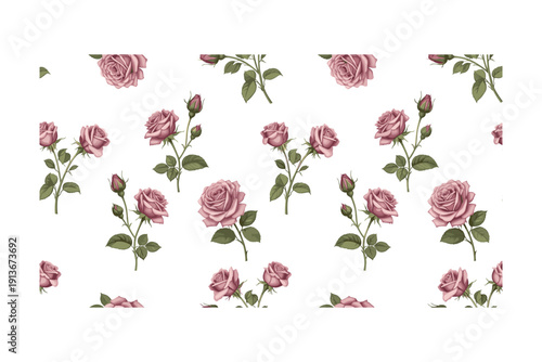 set of pink rose watercolor flowers