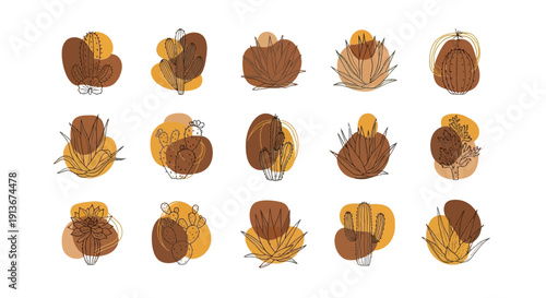 Collection of line art illustrations of various cacti and succulents with abstract color shapes