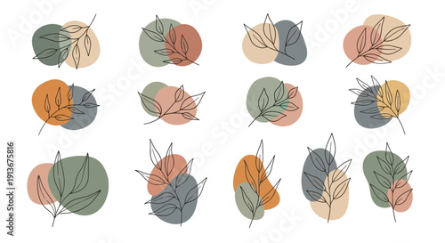Line art branches with overlapping abstract muted color circles