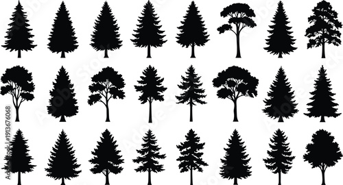 Black tree silhouettes collection, diverse foliage and branching patterns, evergreen conical forms, broad canopy shapes, forestry, botany, landscape design, vector illustration
