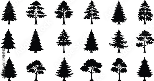 Black tree silhouettes collection, diverse coniferous and deciduous forms, forest shapes, botanical design elements, nature vector set, isolated trees illustration