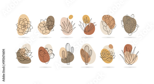 Twelve minimalist line art illustrations of various succulents and cacti on abstract earthtoned backgrounds