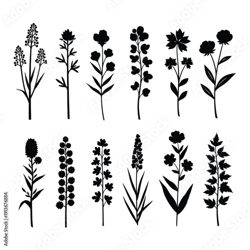 Collection of assorted black floral silhouettes showcasing various flowers and foliage in a simple elegant design
