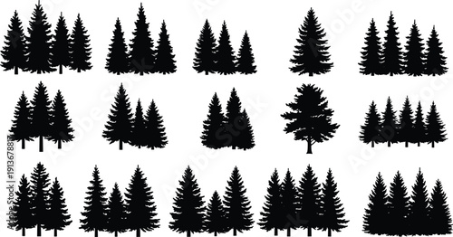 Silhouette illustration of coniferous trees, evergreen forest groupings, pine and fir tree clusters, natural woodland landscape, forestry elements, stylized vector nature design
