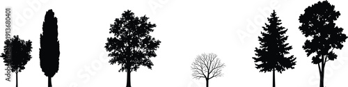 tree, silhouette, forest, nature, plant, ecology, landscape, icon, design, minimal, black, white, isolated, set, collection